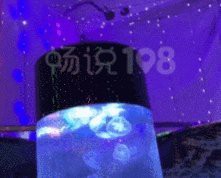 城北水族店，城北這個(gè)新開水族館竟存在內(nèi)幕城北水族店愛企查 城北水族店，城北這個(gè)新開水族館竟存在內(nèi)幕城北水族店愛企查 全國水族館企業(yè)名錄 第3張