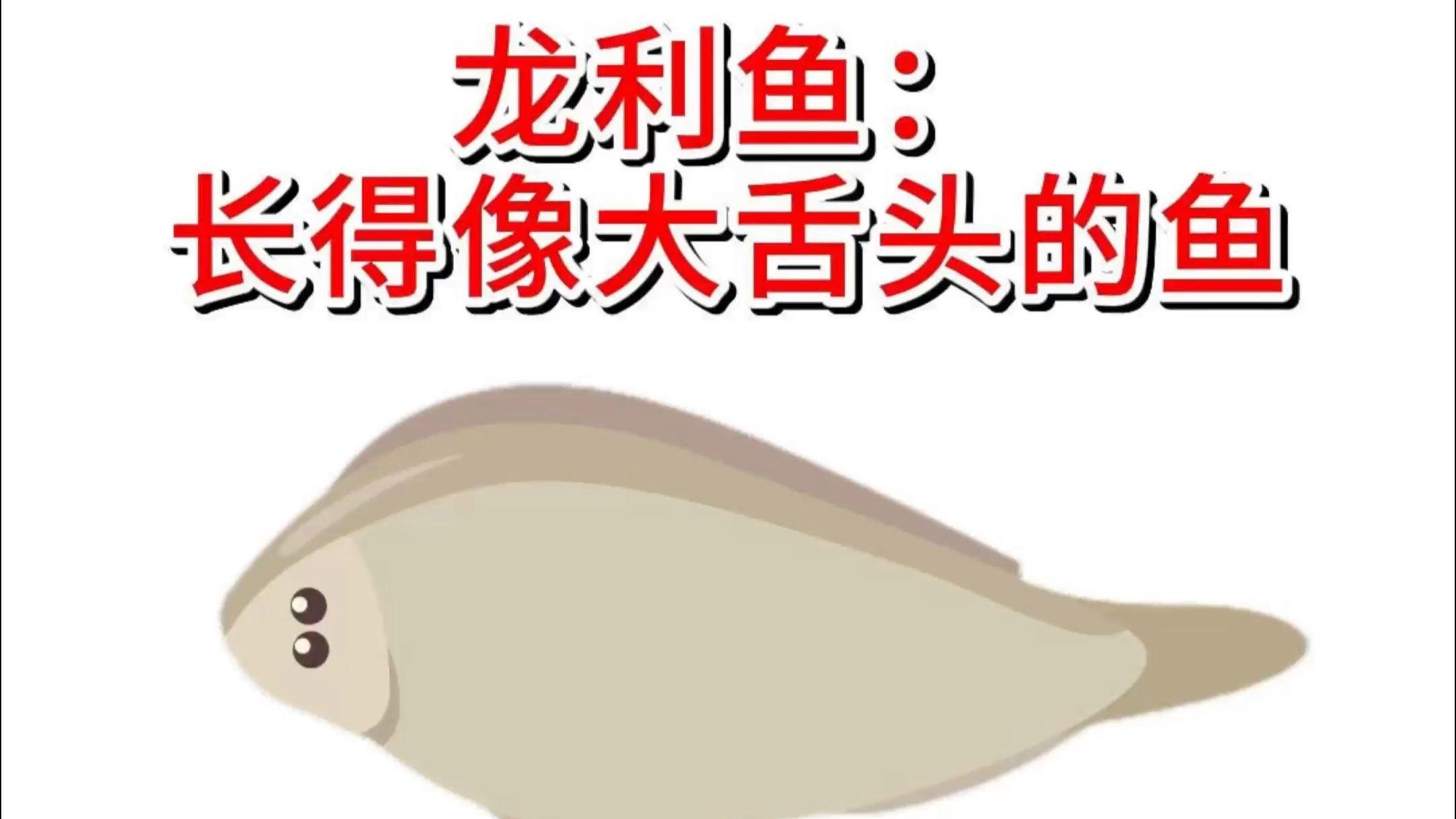 如何區分巴沙魚和龍利魚?,如何區分龍利魚與巴沙魚 龍魚論壇 第3張 如何區分巴沙魚和龍利魚?,如何區分龍利魚與巴沙魚 如何區分巴沙魚和龍利魚?,如何區分龍利魚與巴沙魚 龍魚論壇 第3張