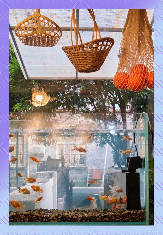 汕頭魚(yú)缸店，中國(guó)供應(yīng)商水族店經(jīng)營(yíng)范圍有哪些 汕頭魚(yú)缸店，中國(guó)供應(yīng)商水族店經(jīng)營(yíng)范圍有哪些 全國(guó)水族館企業(yè)名錄 第7張