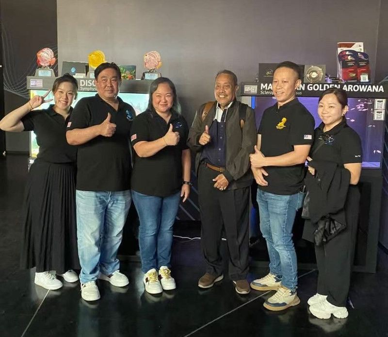 <strong><mark>恩施州</mark></strong>龍魚店，南信水族龍魚貿易有哪些特色服務南信水族龍魚貿易有哪些