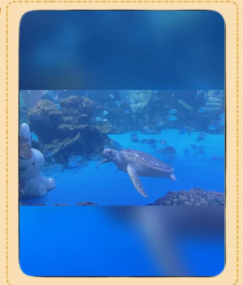 延安水族店，延安市擁有多家特色水族店為市民提供了豐富的觀賞魚及水族用品選擇