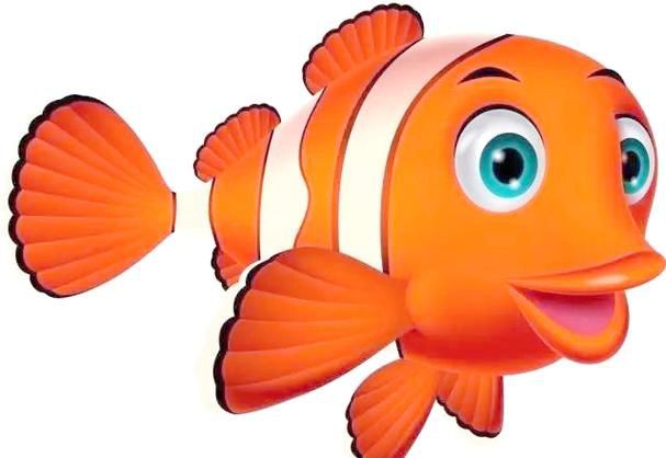 玫瑰斑魚圖片，斑點玫瑰魚