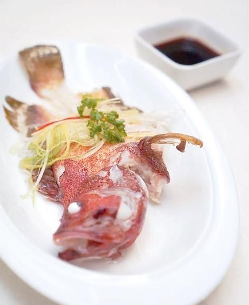 玫瑰斑魚圖片，斑點玫瑰魚