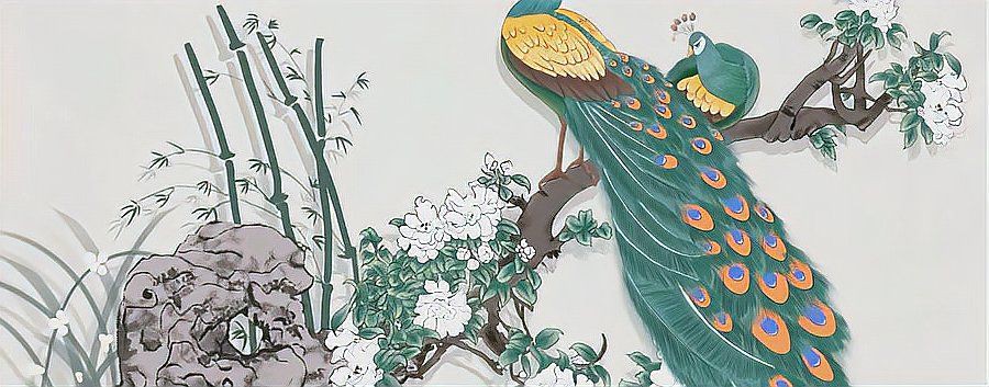孔雀在玄學(xué)中的寓意，《孔雀在玄學(xué)中的寓意》 孔雀在玄學(xué)中的寓意，《孔雀在玄學(xué)中的寓意》 龍魚百科 第1張