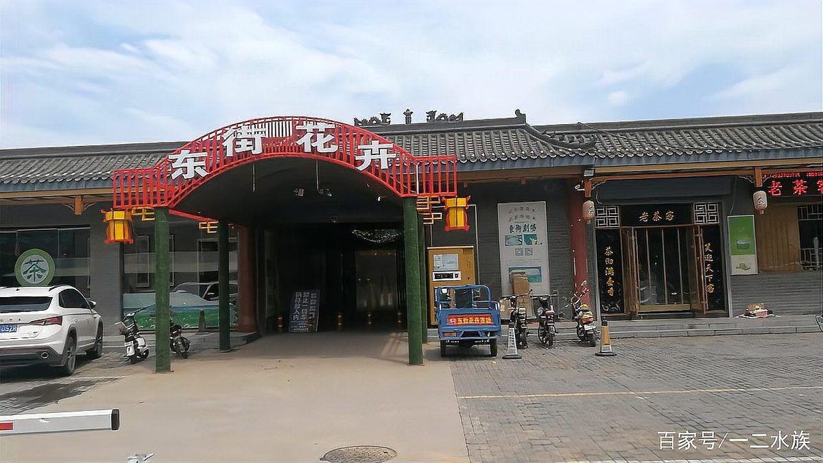 邯鄲水族店，邯鄲市水族業(yè)態(tài)呈現(xiàn)“兩極分化”傳統(tǒng)市場以花卉為主