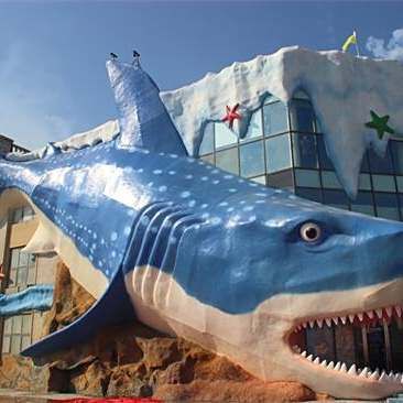 邯鄲水族店，邯鄲市水族業(yè)態(tài)呈現(xiàn)“兩極分化”傳統(tǒng)市場以花卉為主