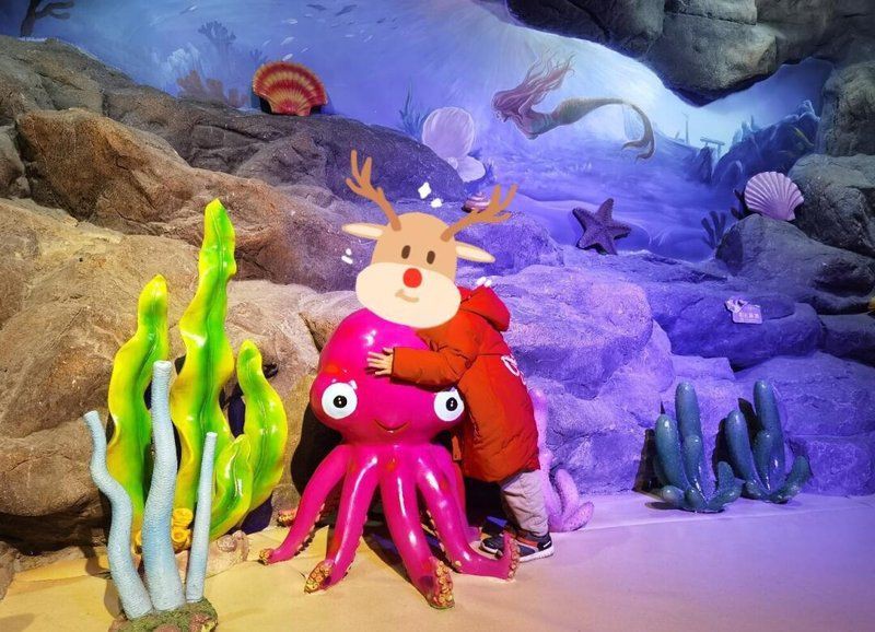 邯鄲水族店，邯鄲市水族業(yè)態(tài)呈現(xiàn)“兩極分化”傳統(tǒng)市場以花卉為主