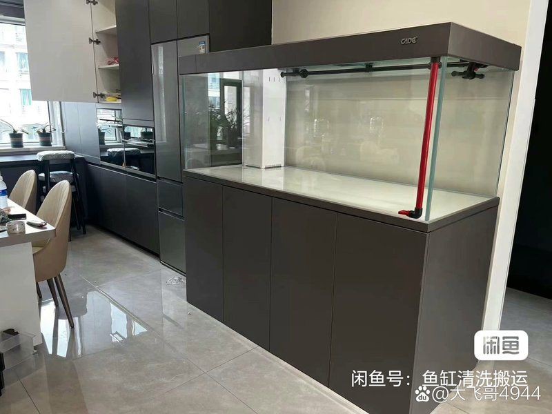 柳州魚缸維護，柳州地區魚缸維護的完整流程和注意事項