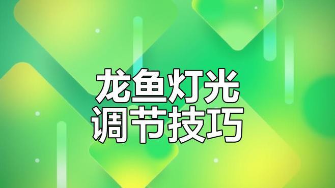 如何設置龍魚缸的照明系統？，如何設置龍魚缸的照明系統