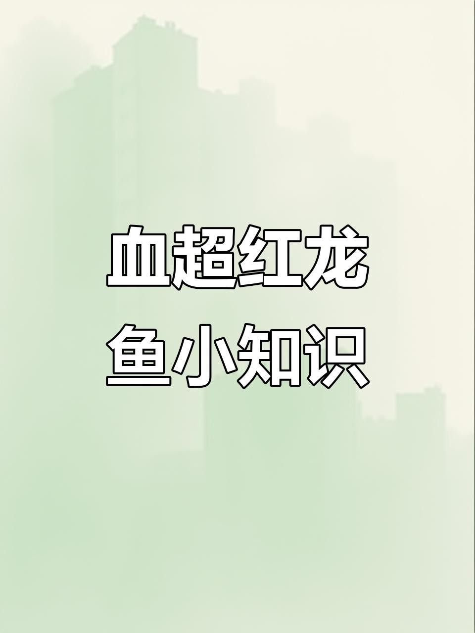 如何區分超血紅龍和辣椒紅龍？，超血紅龍與辣椒紅龍哪個好養超血紅龍和辣椒紅龍哪個好養