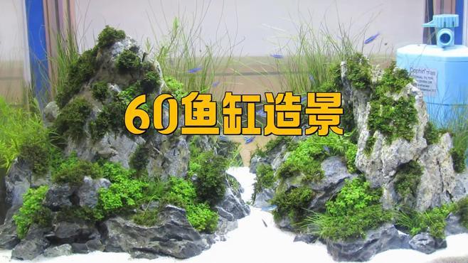 如何布置60cm寬的龍魚缸？，《如何布置60cm寬的龍魚缸》60cm寬龍魚缸布置方法