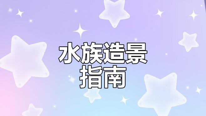 如何布置60cm寬的龍魚缸？，《如何布置60cm寬的龍魚缸》60cm寬龍魚缸布置方法
