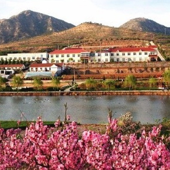 招遠龍魚店，“招遠龍魚店”公開資料中未查詢到具體餐飲門店信息 招遠龍魚店，“招遠龍魚店”公開資料中未查詢到具體餐飲門店信息 全國水族館企業名錄 第4張