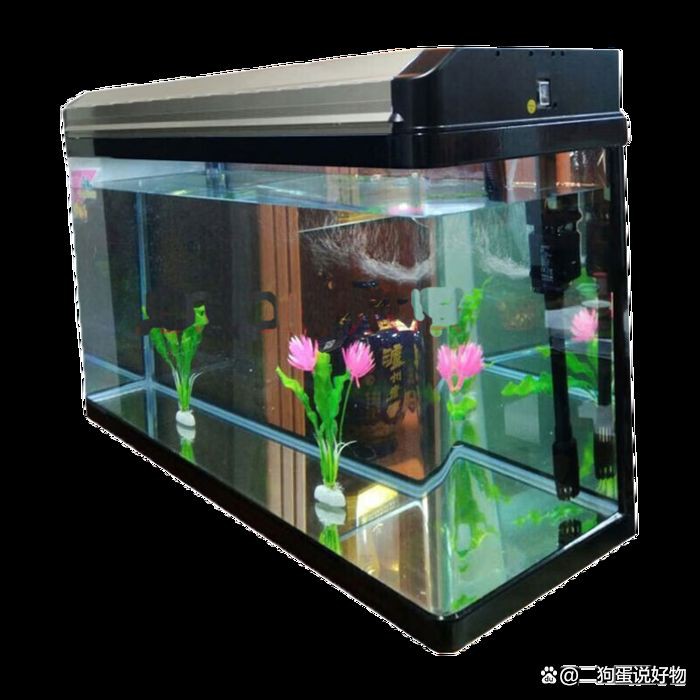 阿勒泰魚缸定做，阿勒泰地區的魚缸定做服務