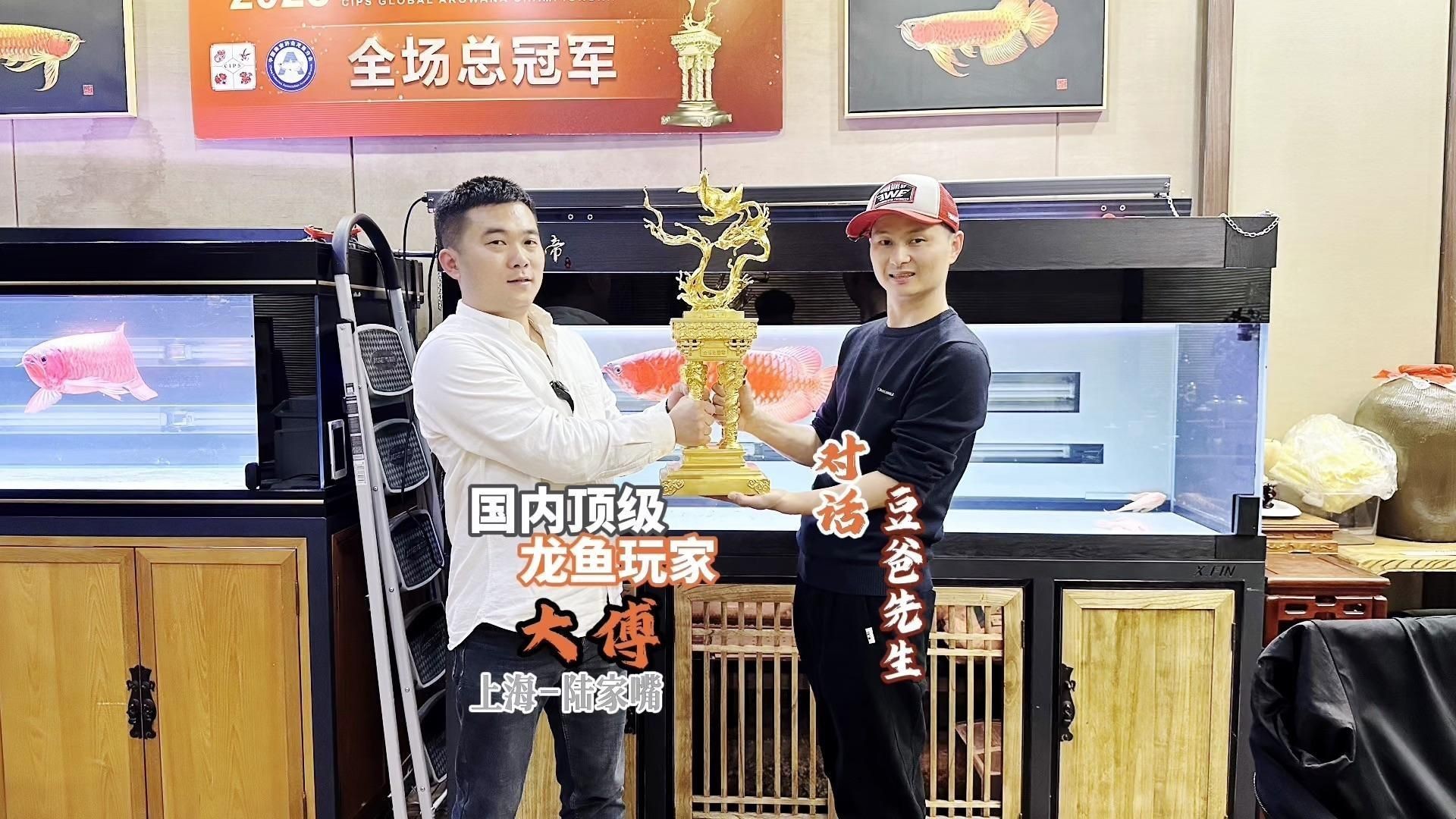 橙紅龍魚(yú)的市場(chǎng)價(jià)格如何？，橙紅龍魚(yú)價(jià)格2688貴嗎愛(ài)奇藝紅龍魚(yú)一般多少錢一只 橙紅龍魚(yú)的市場(chǎng)價(jià)格如何？，橙紅龍魚(yú)價(jià)格2688貴嗎愛(ài)奇藝紅龍魚(yú)一般多少錢一只 龍魚(yú)百科 第4張