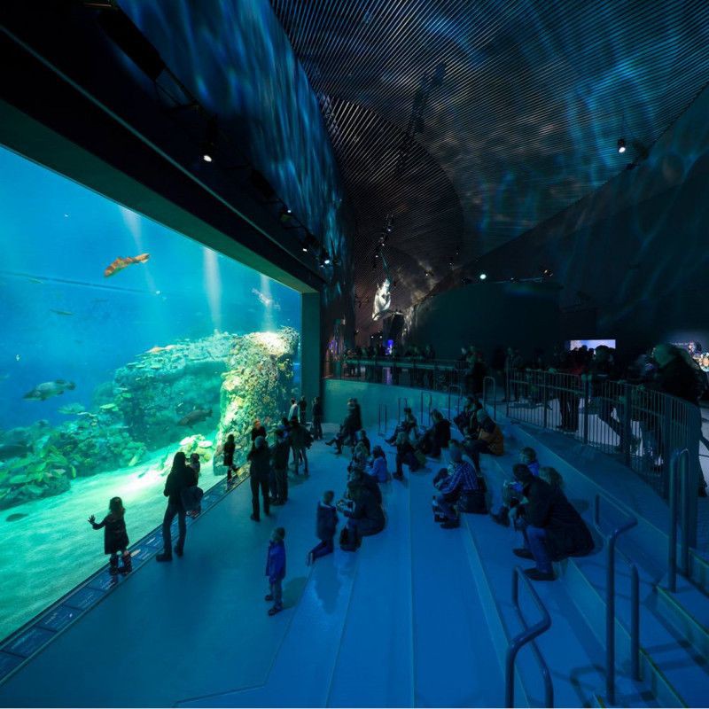 巢湖水族館，合肥巢湖水族館是當(dāng)?shù)仡H具特色的海水生物展示場(chǎng)所