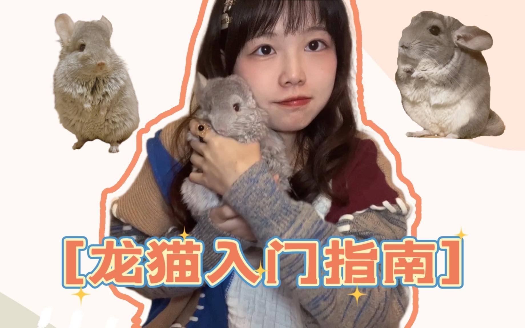 養(yǎng)龍貓需要哪些專業(yè)設(shè)備？，養(yǎng)龍貓所需專業(yè)設(shè)備清單