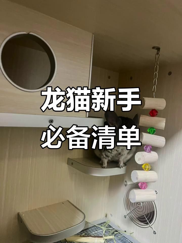 養龍貓需要哪些專業設備？，養龍貓所需專業設備清單