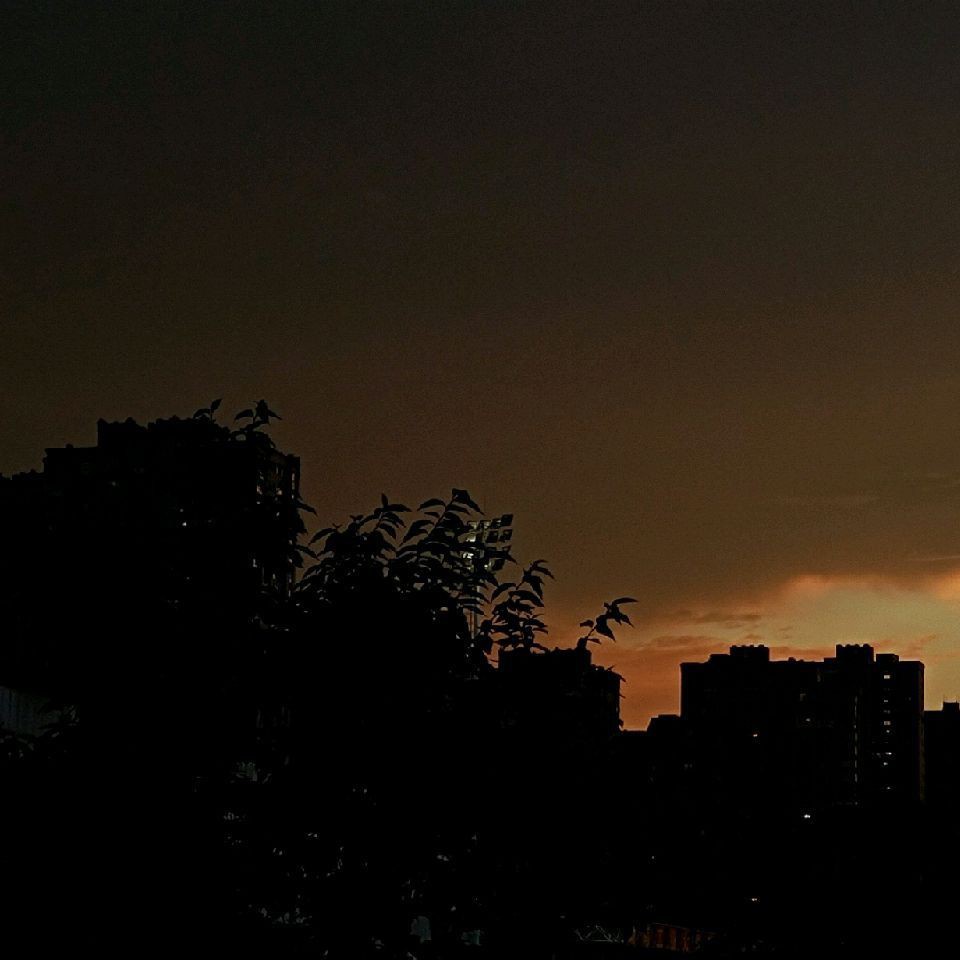 牡丹江魚缸批發(fā)市場，關(guān)于牡丹江魚缸批發(fā)市場的綜合信息整理 牡丹江魚缸批發(fā)市場，關(guān)于牡丹江魚缸批發(fā)市場的綜合信息整理 全國水族館企業(yè)名錄 第2張