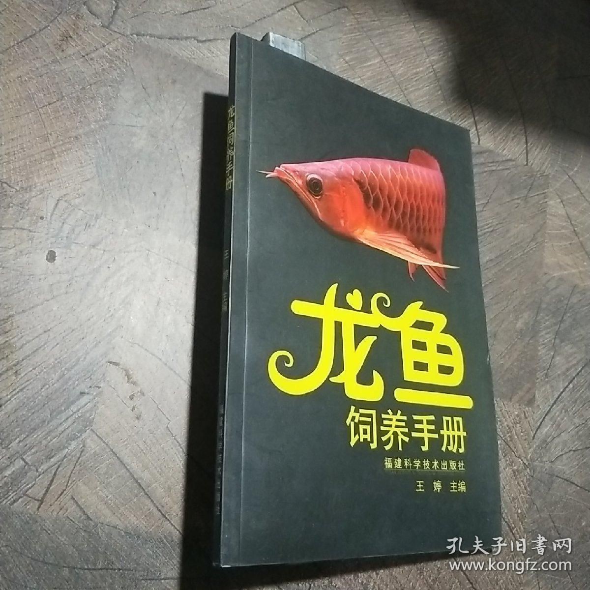 龍魚飼養方法和技術：關于龍魚飼養的方法和技術