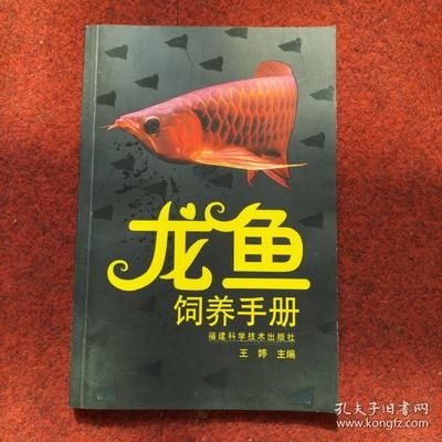 龍魚飼養方法和技術：關于龍魚飼養的方法和技術