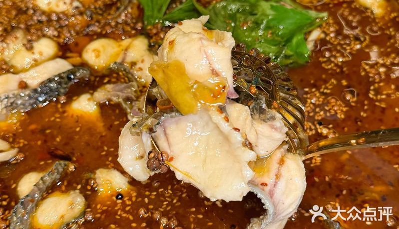 天山龍魚店，內蒙古阿魯科爾沁旗天山鎮龍魚一號觀賞魚店成立