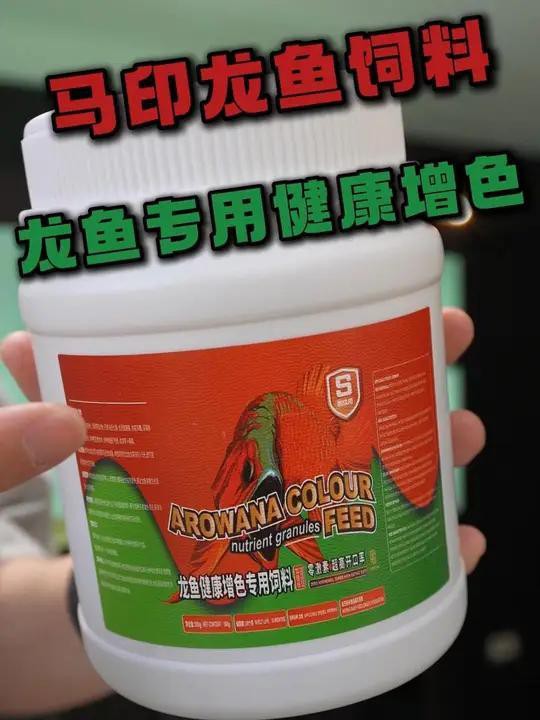 哪種金龍魚飼料品牌最好？，金龍魚飼料哪種好8款龍魚飼料讓你的龍魚健康又美麗 哪種金龍魚飼料品牌最好？，金龍魚飼料哪種好8款龍魚飼料讓你的龍魚健康又美麗 龍魚百科 第4張