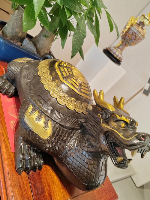 如何找到更多高清龍龜圖片？，尋找更多高清龍龜圖片可通過多種途徑實現