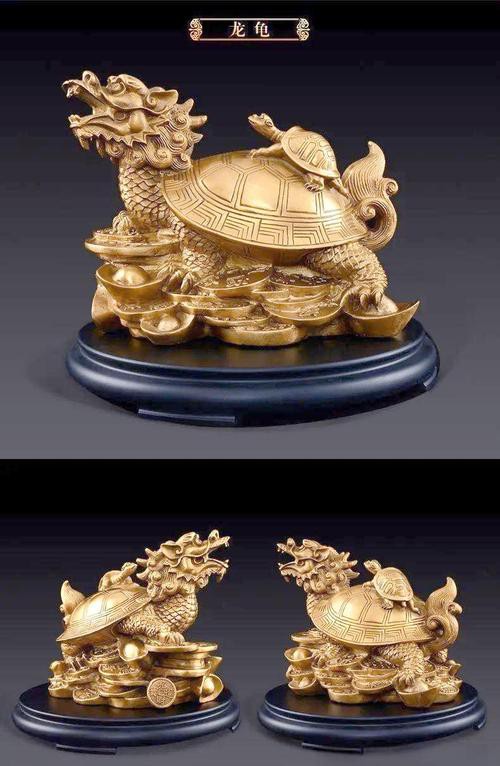 如何找到更多高清龍龜圖片？，尋找更多高清龍龜圖片可通過多種途徑實現