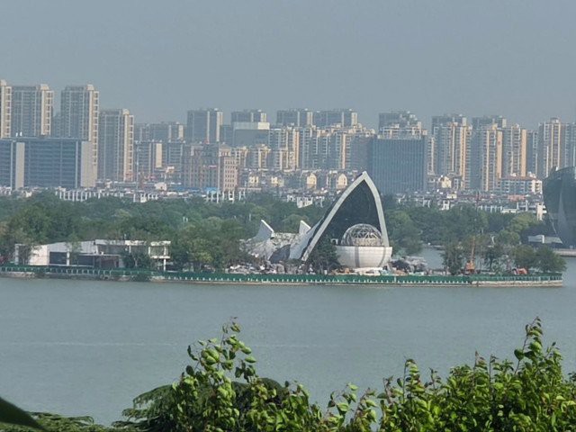 泉山水族店，徐州泉山水族店