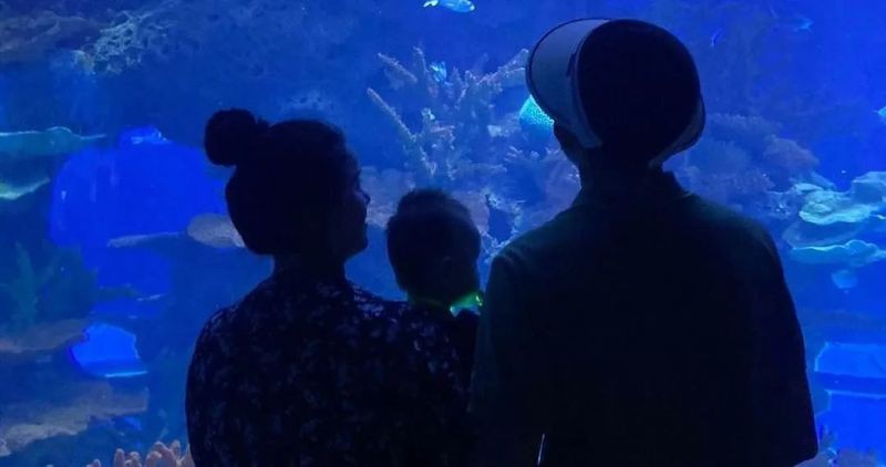 許昌水族店，揭秘許昌水族行業盈利新模式加盟星水族店運營神器
