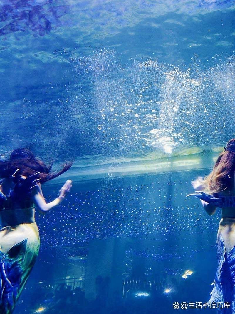 許昌水族店，揭秘許昌水族行業盈利新模式加盟星水族店運營神器