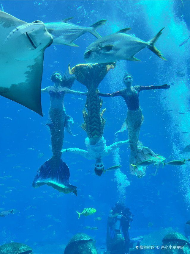 三亞魚缸店，三亞水族世界商店