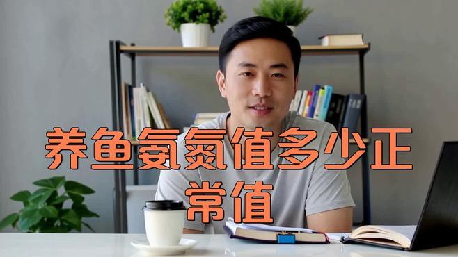 如何判斷紅龍魚是否需要換水？，《如何判斷紅龍魚是否需要換水》