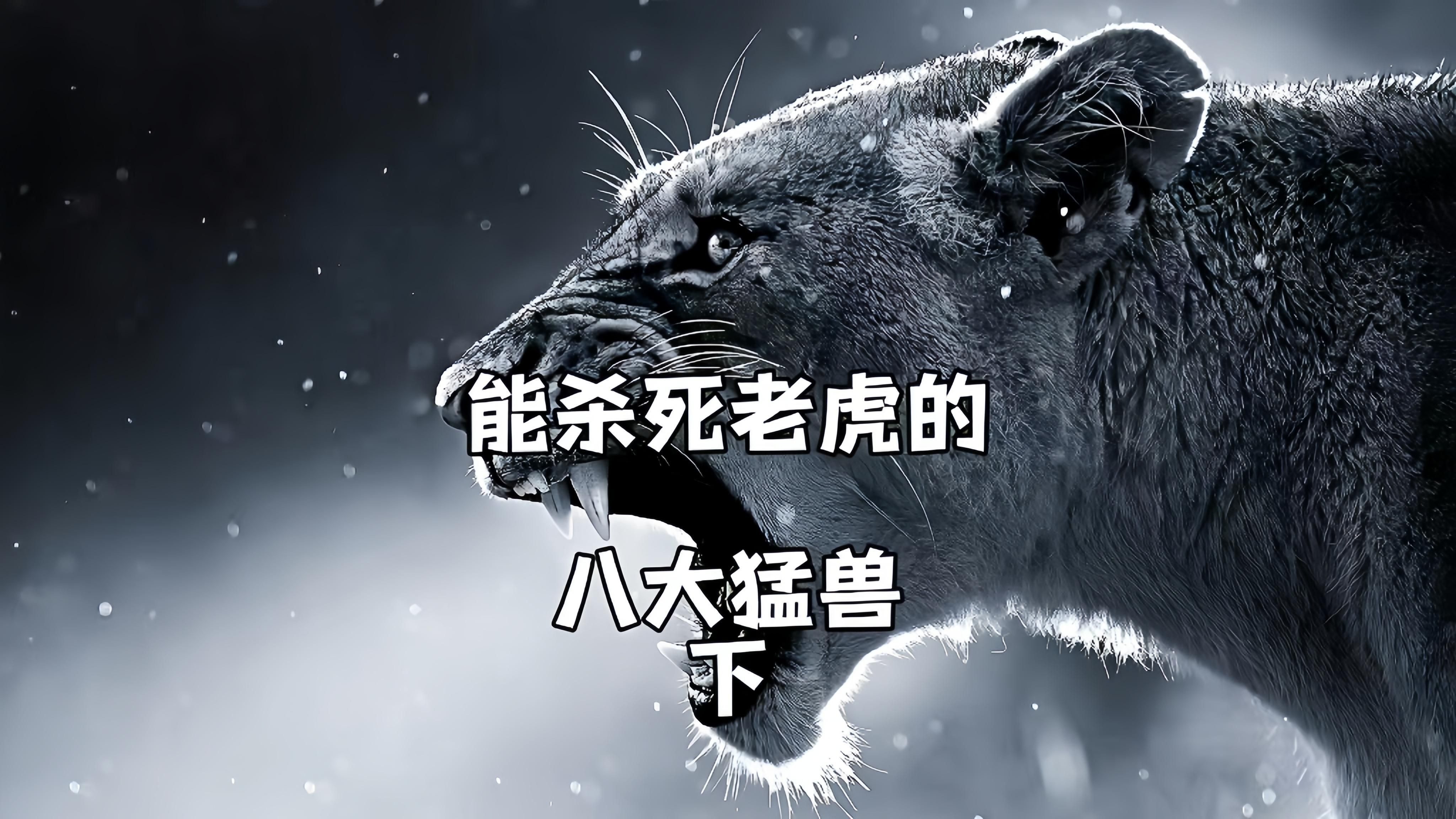 秒殺老虎的三種動物，《秒殺老虎的三種動物》冷知識“單挑”就能殺死老虎的幾大猛獸