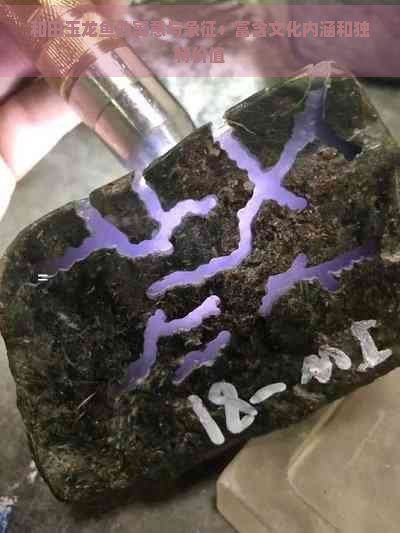 和田玉龍魚什么寓意，和田玉龍魚的寓意