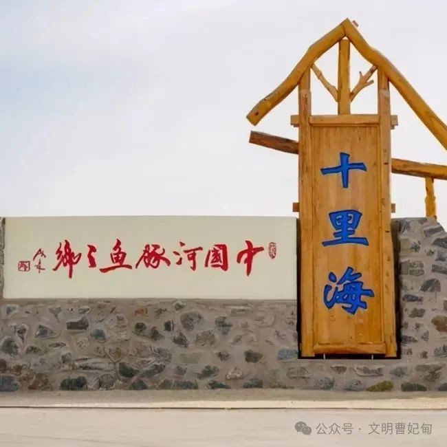 曹妃甸龍魚店，唐山之新|探秘曹妃甸龍魚貿易抖音號