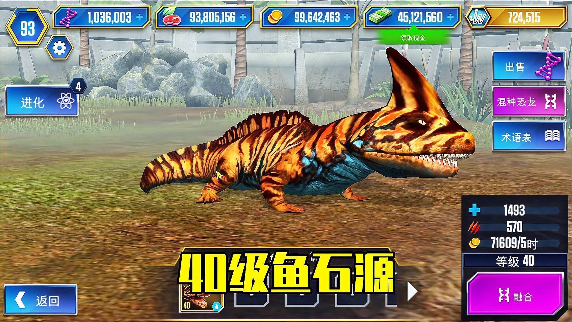 兩棲動物是既有肺又有腮嗎，兩棲動物的呼吸系統具有顯著的階段性特征和多樣性