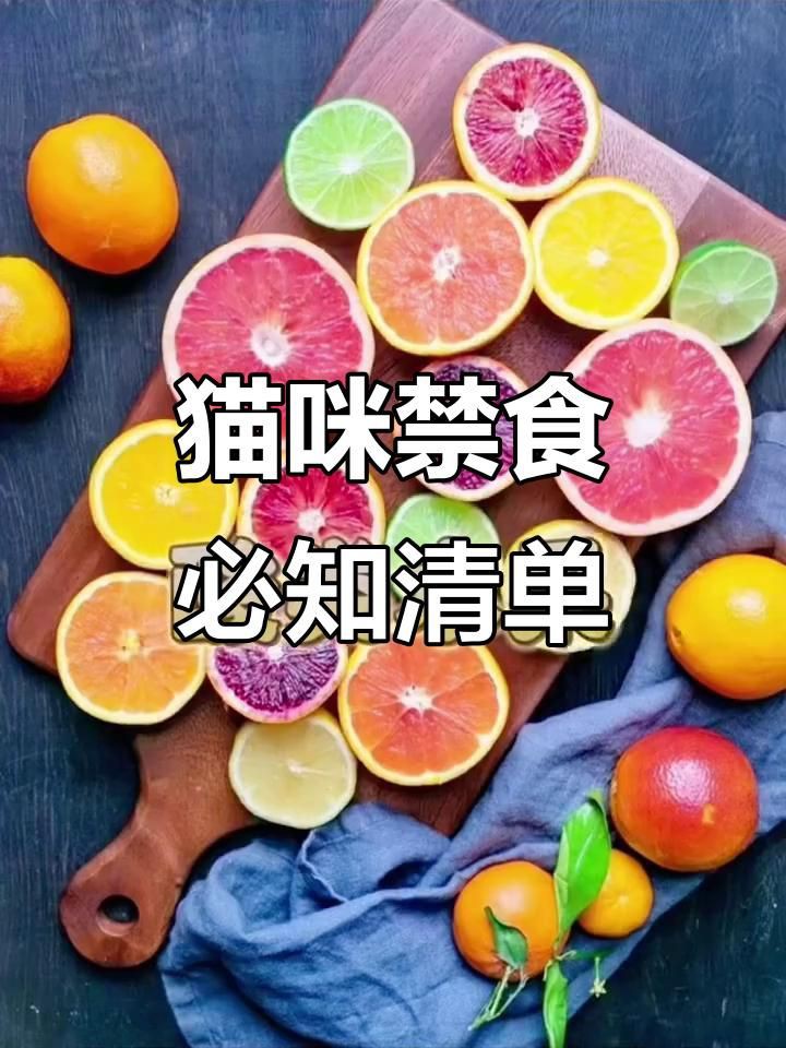 貓最不能吃的10種食物，《貓最不能吃的10種食物》貓咪不能吃的10種食物