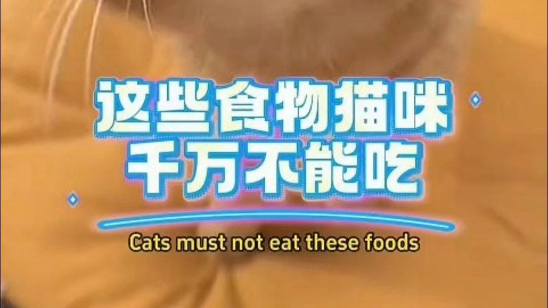 貓最不能吃的10種食物，《貓最不能吃的10種食物》貓咪不能吃的10種食物