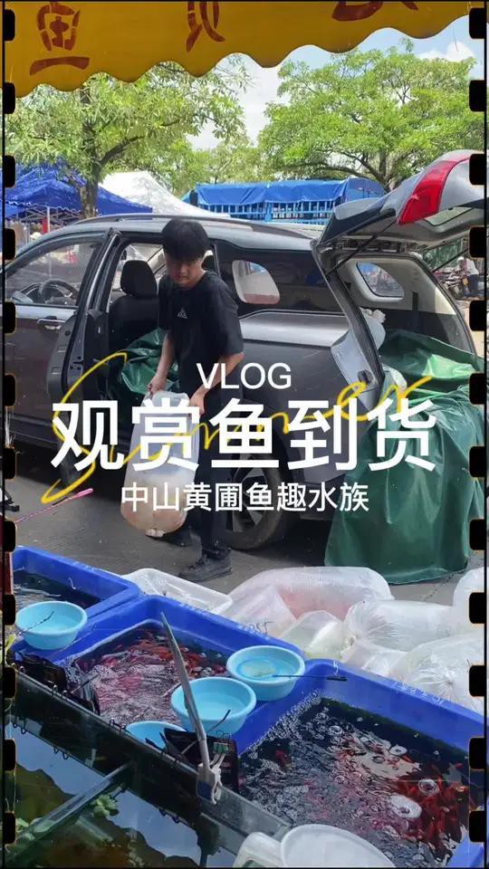 方城水族店，南陽方城縣深藍水族魚缸店