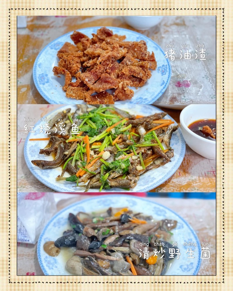 泰順龍魚店，杭州泰順龍魚店 泰順龍魚店，杭州泰順龍魚店 全國水族館企業名錄 第2張