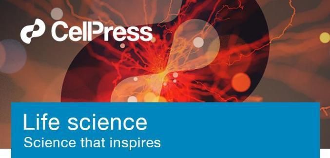 魚的細菌對人的影響嗎，《魚的細菌對人的影響嗎》探究魚身上攜帶的細菌是否對人類產生影響