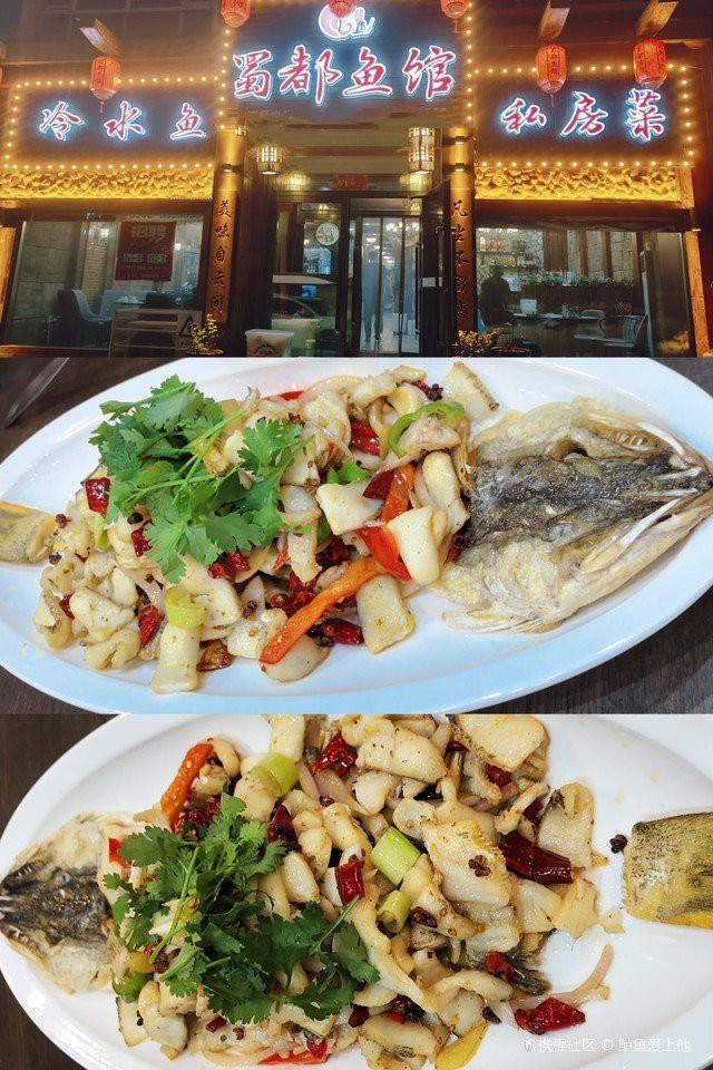 山南龍魚店，山南龍魚店哪家口碑最好