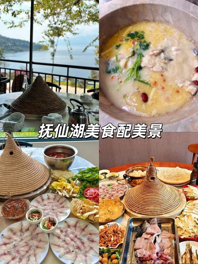 山南龍魚店，山南龍魚店哪家口碑最好