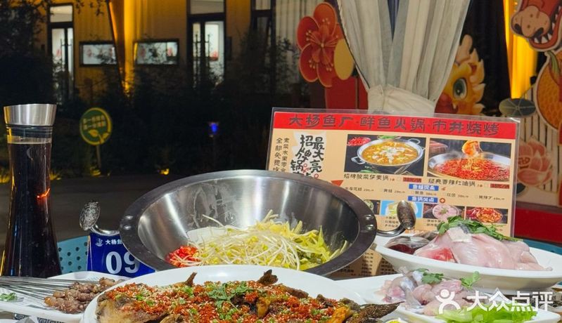 涇陽龍魚店，涇陽的龍魚價格如何