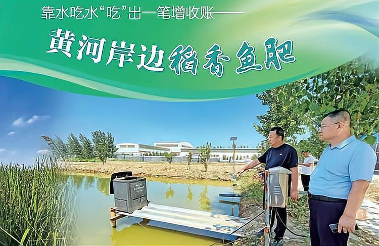 平陰龍魚店，山東平陰縣龍魚水族館愛企查平陰龍魚店有哪些評(píng)價(jià)