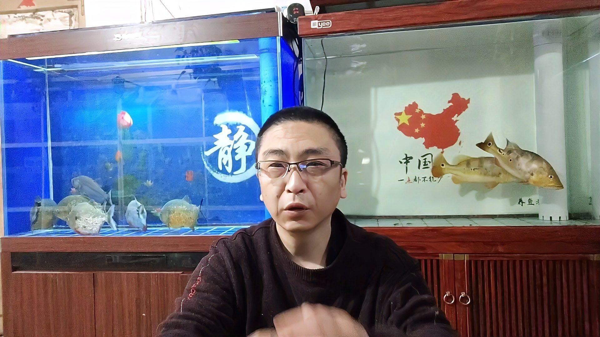 如何判斷藍龍魚是否缺氧，如何判斷藍龍魚是否缺氧不缺氧北游lumi如何判斷