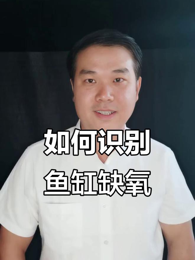 如何判斷藍龍魚是否缺氧，如何判斷藍龍魚是否缺氧不缺氧北游lumi如何判斷