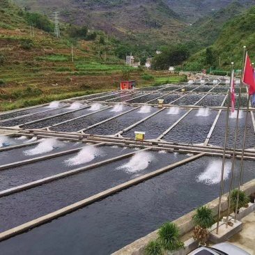來安龍魚店，來安龍魚店哪家口碑最好